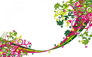 Flowers, Vector, Lines, Design, White Background HD wallpaper