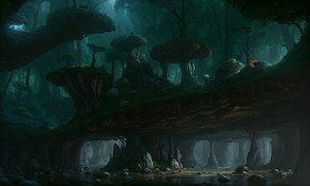 a deep forest open cavern, with a small fox taking a snooze, fox, forest, cavern HD wallpaper