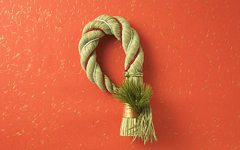 Miscellanea, Miscellaneous, Brush, Rope, Knot HD wallpaper