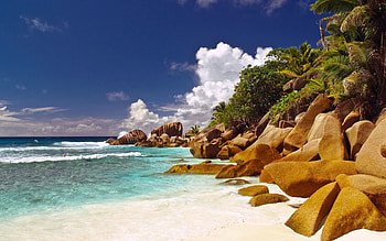 Nature, Stones, Beach, Palms, Shore, Bank, Tropics, Blue Water, Boulders HD wallpaper