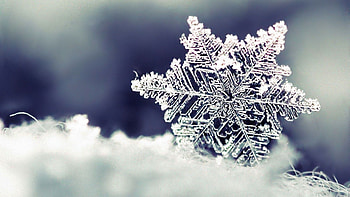 Snow, Macro, Pattern, Form, Snowflake HD wallpaper
