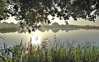 Lake in England, sunshine, England, calm, lake, wetlands HD wallpaper