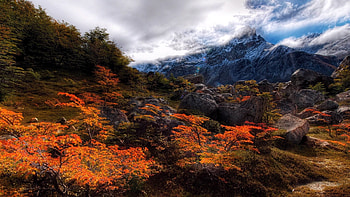 Nature Wallapers PC and Mac HD wallpaper