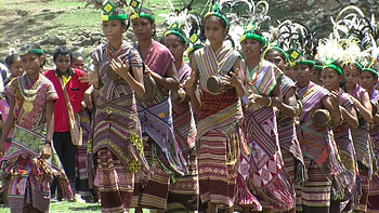 Tebedai at Timor-Leste, Timor culture, Traditional practices, Cultural heritage HD wallpaper