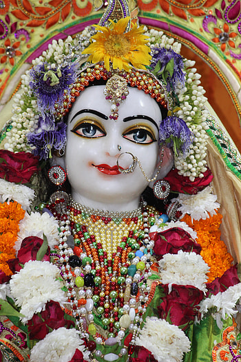 Radha rani, radhe07, krishnapriya07 HD phone wallpaper