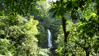 Trafalgar Falls, Amazon Rain Forest HD wallpaper