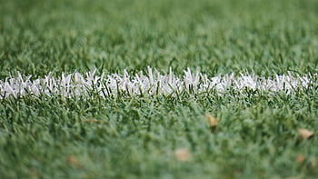 Detailed close-up of a white line on artificial green turf, perfect for sports backgrounds. HD wallpaper