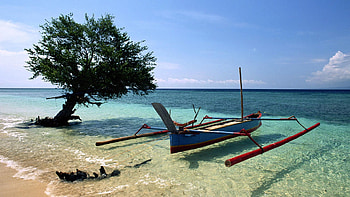 Nature, Water, Beach, Sand, Shore, Bank, Transparent, Wood, Tree, Boat, Bay HD wallpaper