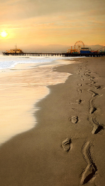 Fear the Walking Dead (2022) movie HD phone wallpaper