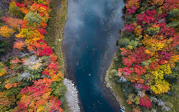 Fall Vibes Near Acadia NP, Maine, landscape, trees, colors, autumn, forest, water, usa HD wallpaper