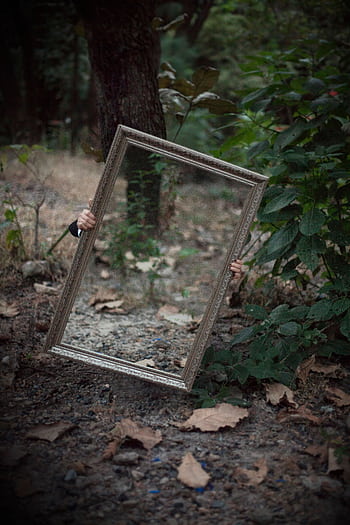 A mystical scene with a mirror reflecting forest foliage, hands mysteriously holding it. HD phone wallpaper