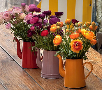 anemonae in vases, pink, vases, red, ourple, beautiful, flowers, orange, anemonae HD wallpaper