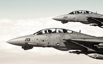 Grumman F-14 Tomcat new HD wallpaper