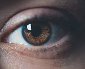 Detailed macro of a human eye showcasing brown iris with reflection. Perfect for medical and artistic uses. HD wallpaper
