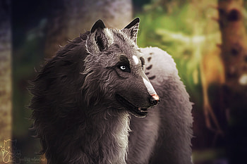 Wolf Artwork, wolf, artwork, artist, digital-art, deviantart HD wallpaper