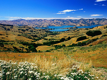 Beautiful Lake, Field, Lake, Water, Countryside HD wallpaper