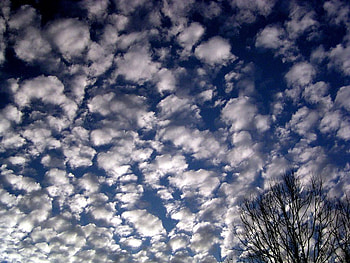 ~Just look at the sky, & all is well~, blue, white, dreams, beautiful, fluffy, tree, clouds, nature, sky, , lovely HD wallpaper