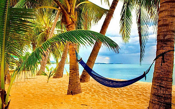 Summer residence..., Tropical, Sand, Trees, Sea, Beach HD wallpaper