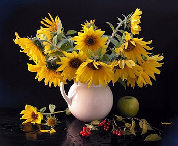 Still life with Sunflowers, Apple, Sunflowers, Jug, Berries HD wallpaper