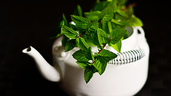 Green mint leaves, Tea pot , background, Refreshing beverage HD wallpaper