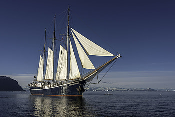 Schooner, Sail under sail, Rembrandt van Rijn, Sailing HD wallpaper