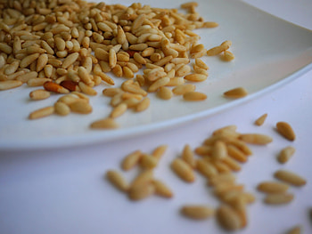 Pine nuts shelf life, Nut expiration, Storage tips, Freshness preservation HD wallpaper