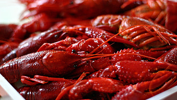 Food, Crayfish HD wallpaper