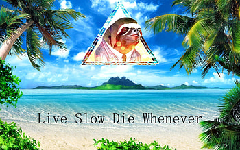  HD wallpaper