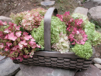 floral basket, basket, still life, beautiful, flowers HD wallpaper