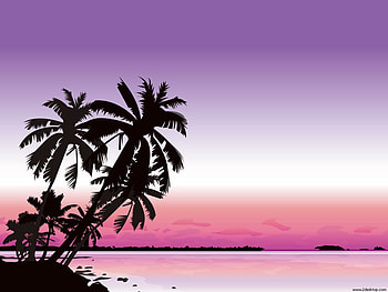 fun in the sun, purple, pink, white, palm trees, beach HD wallpaper