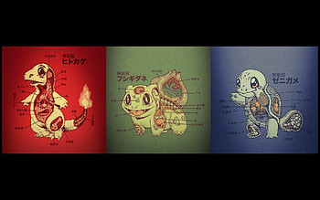 Starter Pokemon Anatomy [] ... HD wallpaper