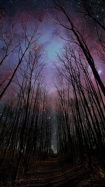 fantasy night sky 6 / 6s / Plus , nature mobile backgrounds HD phone wallpaper