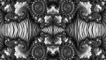 Trippy Psychedelic Fractal, trippy, psychedelic, aesthetic, white, black, Abstract, fractal, abstract black HD wallpaper