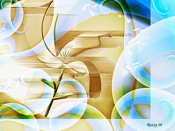 Lirio, flower HD wallpaper