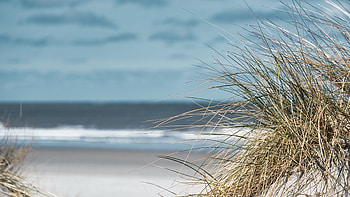 Dry Grass Blur Beach Ocean Waves Blue Sky graphy graphy HD wallpaper