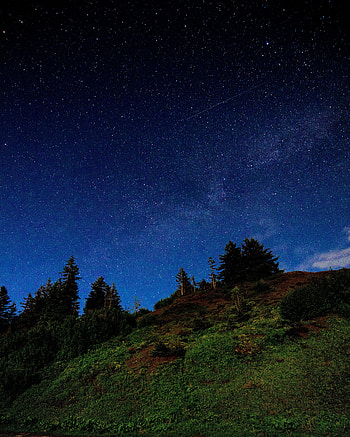 Trees, Stars, Night, Dark, Starry Sky, Hill HD phone wallpaper