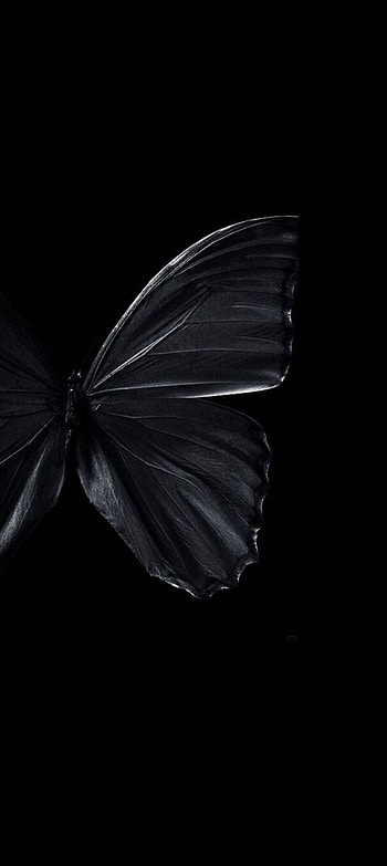 Kelebek, butterfly, bluee HD phone wallpaper
