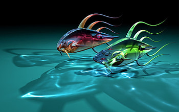 Art, Fishes, Transparent, 3D, Glass, Shadows, Fish, Two HD wallpaper