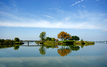 Altmuehlsee, island, nature, water, lake, tree HD wallpaper