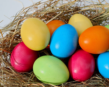 Easter eggs, colorful, close up, nest HD wallpaper
