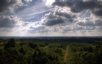 Nature, Trees, Sky, Roads, Height, Shadows, Agriculture HD wallpaper
