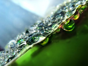 Fresh, fresh, water HD wallpaper