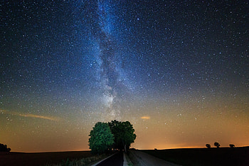 Tree, night, milky way, galaxy, stars HD wallpaper