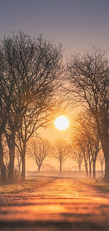 Nature, Sunrise, Earth HD phone wallpaper
