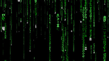 WP-46: Animated Matrix Windows 10, Matrix Windows 10 . HD wallpaper