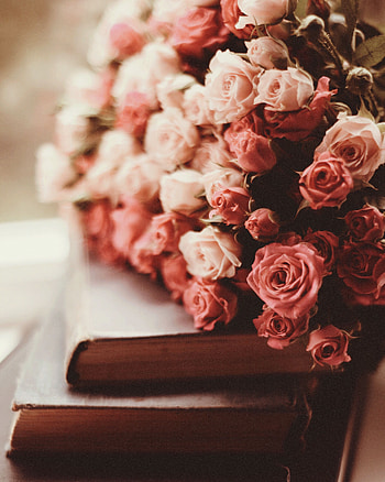 Flowers, Roses, Pink, Books, Bouquet HD phone wallpaper