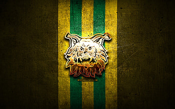 FC Ilves, golden logo, Veikkausliiga, yellow metal background, football, finnish football club, FC Ilves logo, soccer, Ilves FC, Tampereen Ilves HD wallpaper