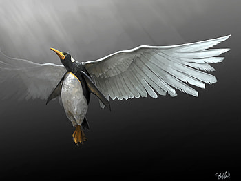 Penguin, Animal, Artistic, Wings HD wallpaper