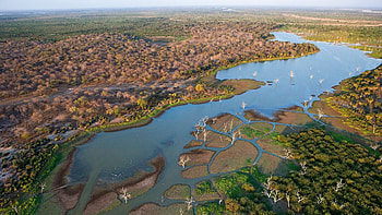 Exploring Okavango Delta, Kalahari desert, Botswana gem, Nature's wonder HD wallpaper