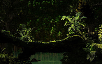 Dark, Fern, Greens, Darkness, Moss, From Below HD wallpaper